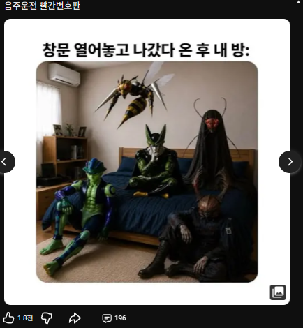 음주운전 빨간번호판 채널 게시물 5번 캡처