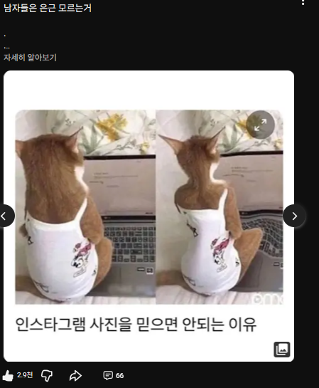 케찹 유머 콘텐츠 게시물 2번 캡처
