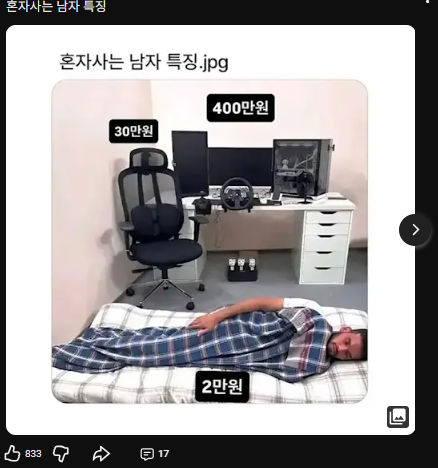 혼자사는 남자 특징 채널 게시물 1번 캡처